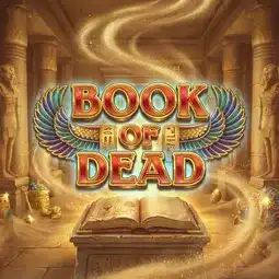 Book of Dead gra w Vinyl Casino dla graczy z Polski