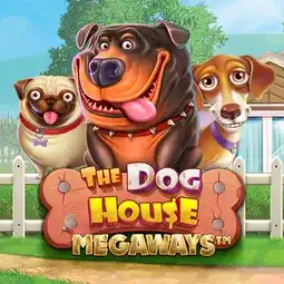 The Dog House Megaways gra w Vinyl Casino dla graczy z Polski