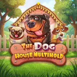 The Dog House Multihold gra w Vinyl Casino dla graczy z Polski
